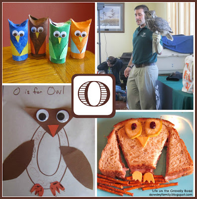 Learning about the letter O and studying owls