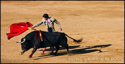 Torero Camomillo