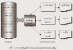 ตัวอย่าง ระบบฐานข้อมูล