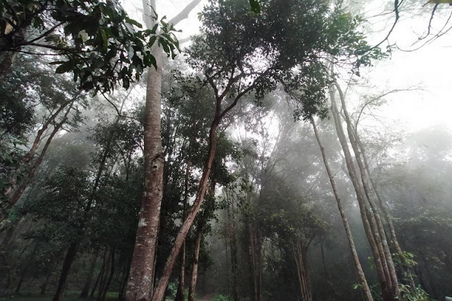 mae wang national park, maewang national park, mae-wang national park, mae-wang