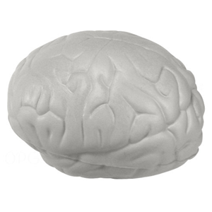 Brain Stress Ball1