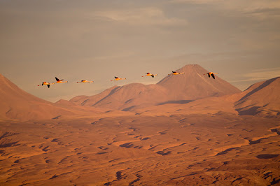 Atacama Desert Travel Gallery