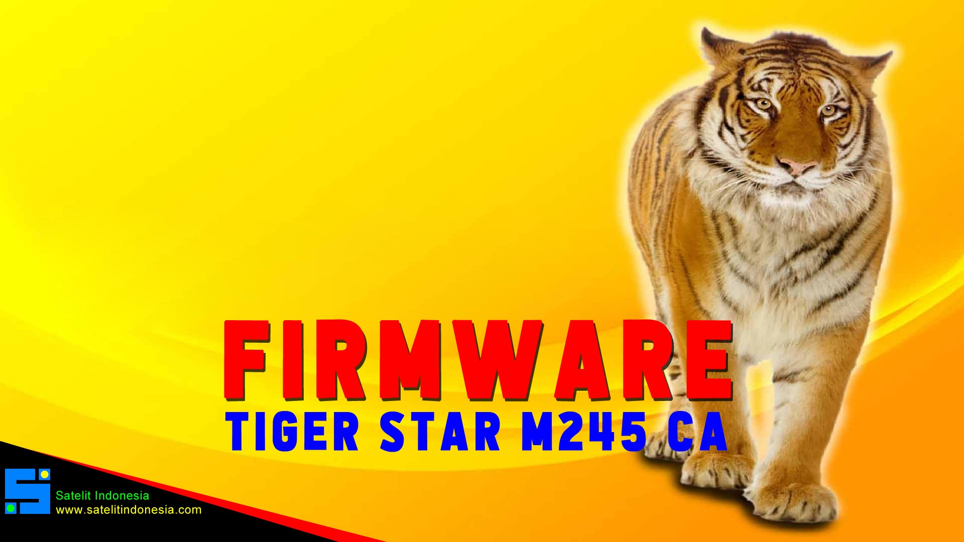 Software Tiger Star M245 CA Firmware Receiver New Update