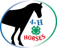 horse with 4h clover