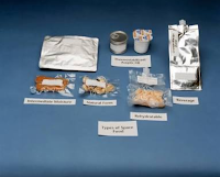 What types of food have ate by space traveller, what is space food, 