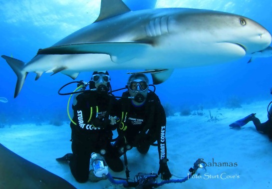 4-Bahamas