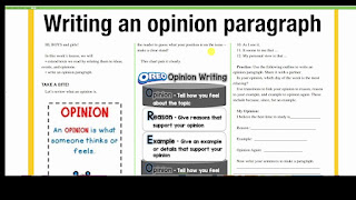 The Importance of Opinion Paragraphs