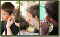 Picnik collage7