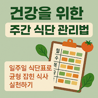 건강을 위한 주간 식단 관리법｜일주일 식단표로 균형 잡힌 식사 실천하기