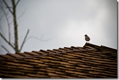 Sunday_at_the_Parentos_B-16