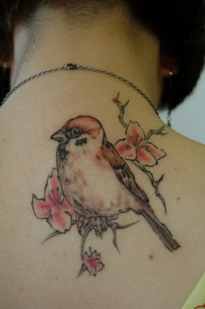 Sparrow Tattoos Designs and Meaning