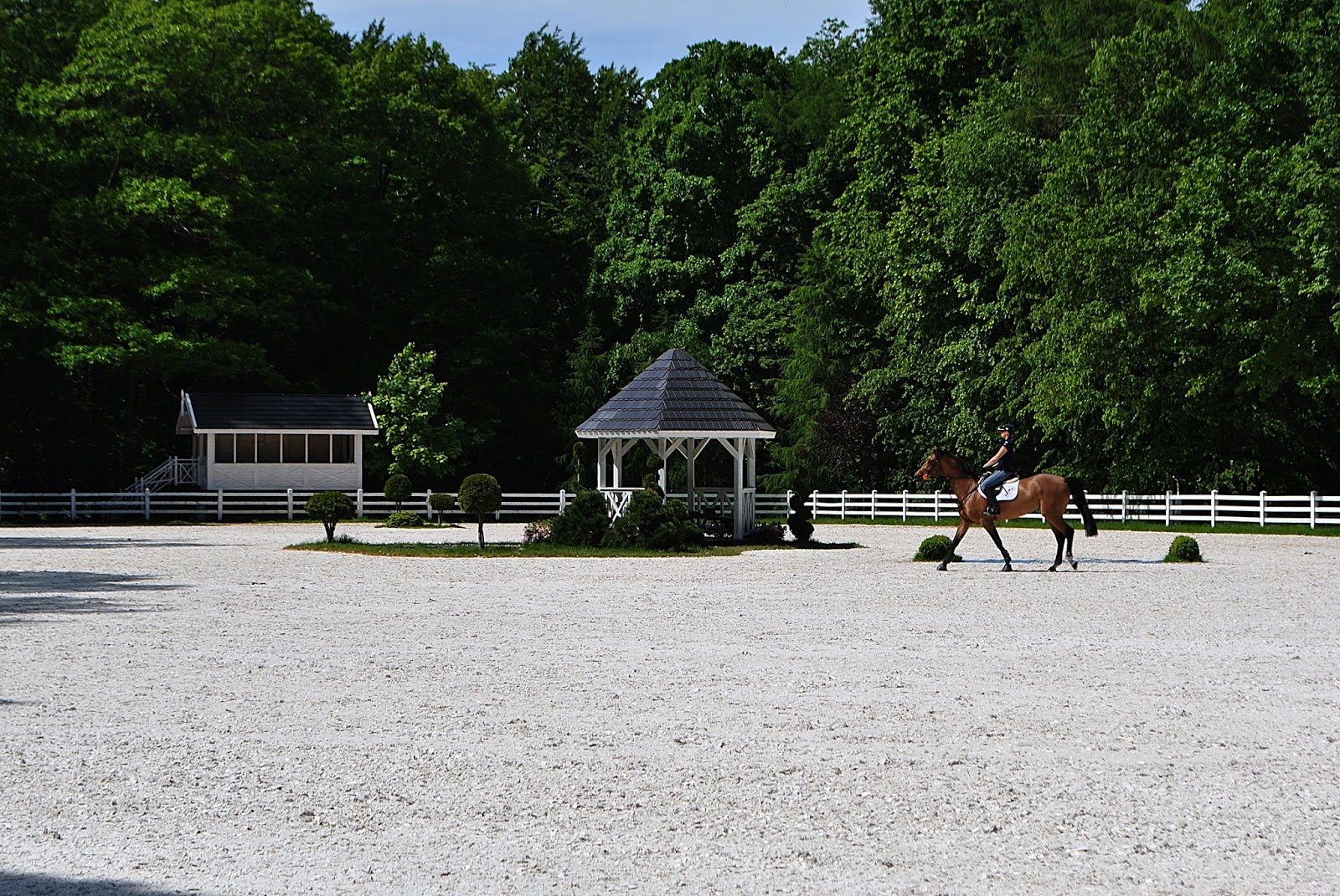 PAŁAC CIEKOCINKO HOTEL RESORT & WELLNESS