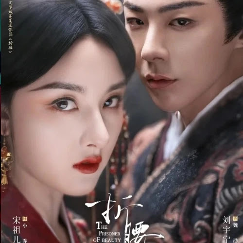 Lirik Lagu Not In Vain (不枉)  Ost. The Prisoner of Beauty - Wang Honghao