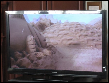 3-D TV