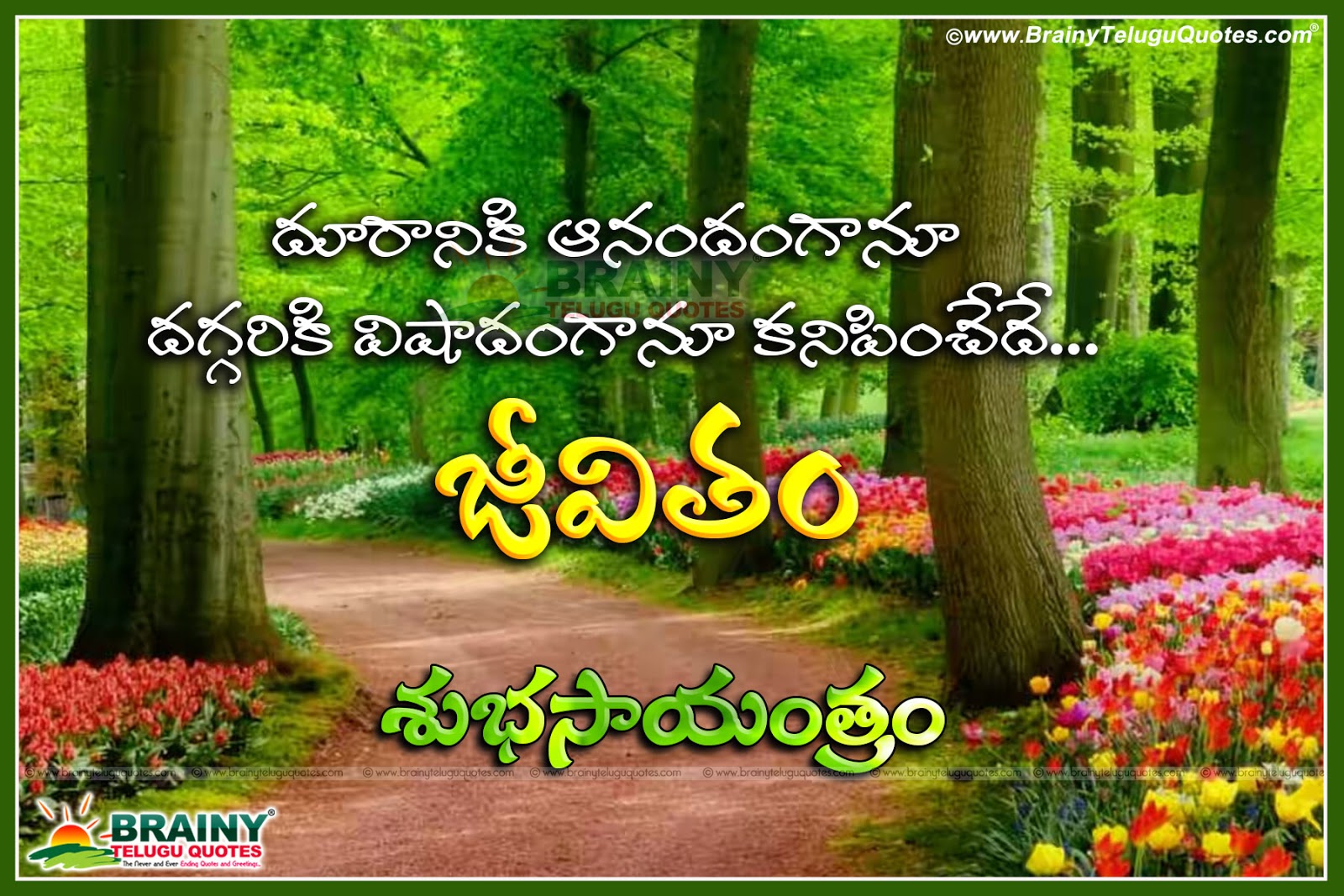 Here is a Telugu Language Best Happy Evening Beautiful charlie chaplin Quotes Good Evening charlie