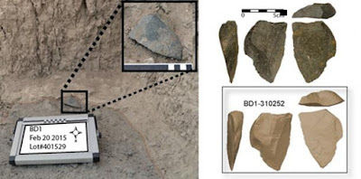 Gli strumenti di pietra sono stati trovati vicino al fossile più antico attribuito al genere Homo.