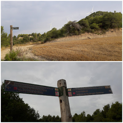 GR-175 Rocafort de Queralt a Vallbona de les Monges, Coll del Torrefaves