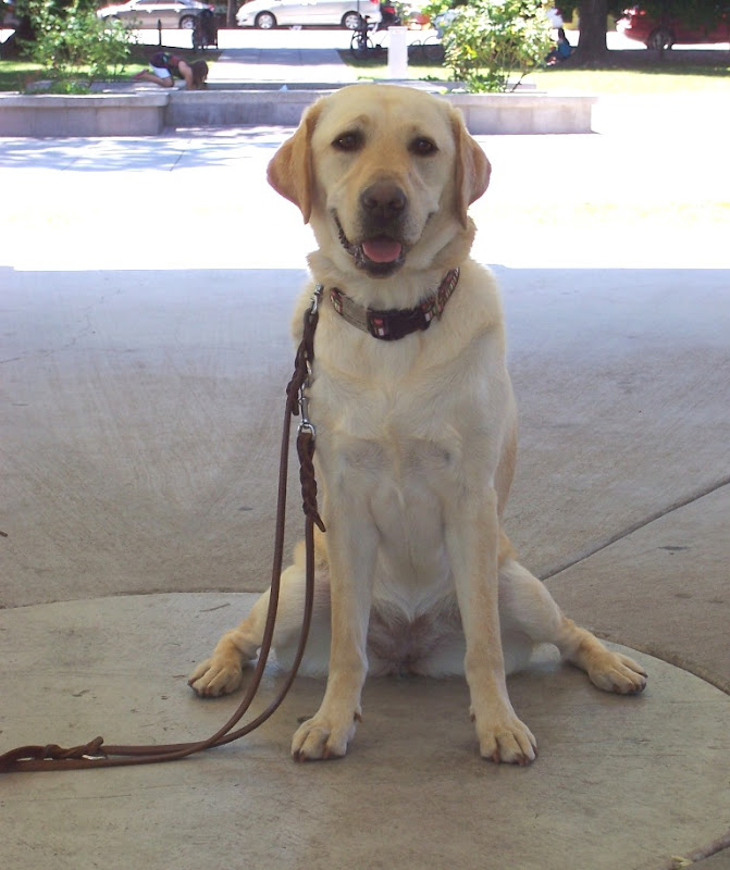 close up of cabana sitting under gazebo with her legs in a knock-kneed position