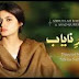 Gohar-e-Nayab Episode 17 - 25th October 2013 on A-Plus