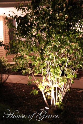 2011 05 17_5154