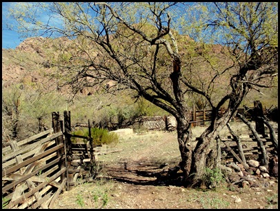 P2060013