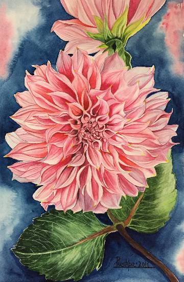 Pink Dahlia Flower, painting by Pushpa Sharma (www.indiaart.com)
