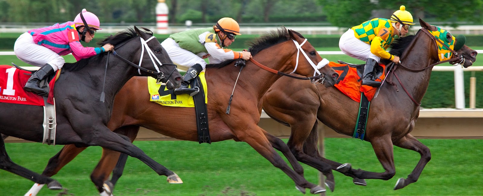 http://watchlivevsstream.com/horse-race-live.html