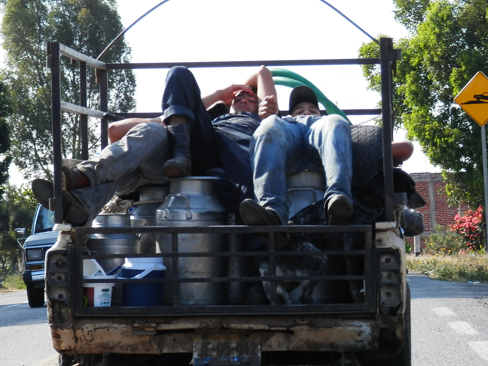 These guys were finishing a hard days work. Can you see the dog?