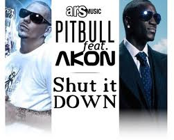 Lirik Lagu Pitbull ft. Akon - Shut It Down