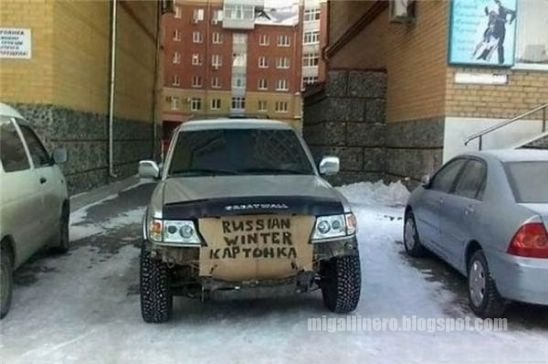 coches11