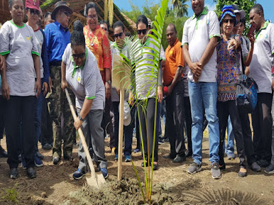 Pemprov Papua Ajak Perempuan Tanam dan Olah Sagu Diminta Jadi Agenda Rutin