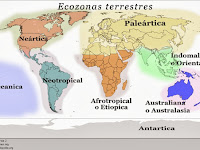 Regiones Naturales De Oceania