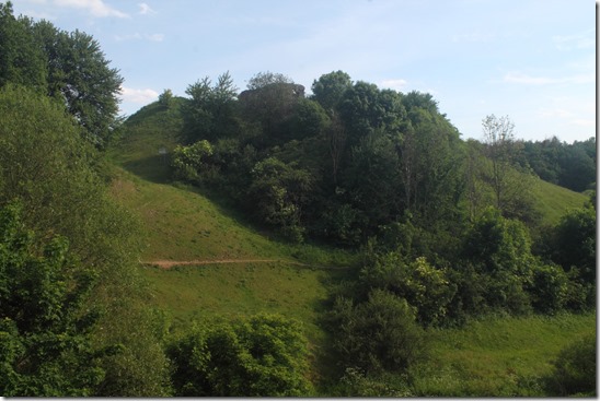 Губків