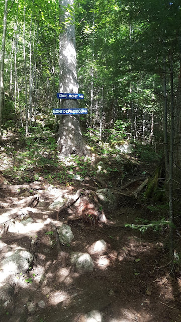 Sentier vers le mont des Morios