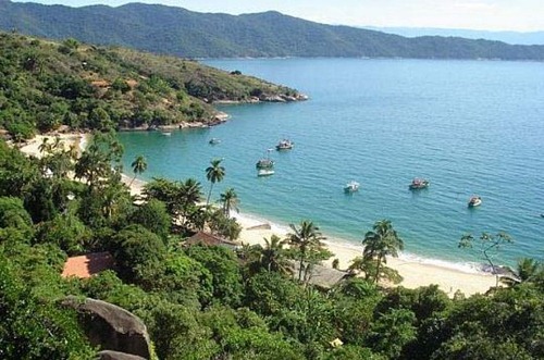 cajaiba