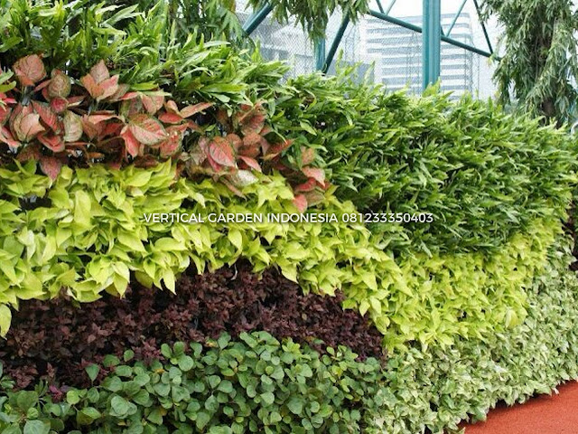 VERTICAL GARDEN INDONESIA SPESIALIS JASA PEMBUATAN VERTICAL GARDEN DI BANJARMASIN DAN DI SELURUH WILAYAH BANJARMASIN  DENGAN TENAGA YANG PROFESIONAL DAN DAPAT DI PERCAYA YANG SELALU MENGUTAMAKAN SEBUAH MUTU DAN KUALITAS PEMASANGAN VERTICAL GARDEN/TAMAN DINDING, JASA TUKANG TAMAN VERTICAL BANJARMASIN , JASA VERTICAL GARDEN BANJARMASIN 