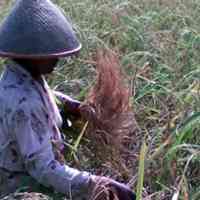 Bukan Lagi Negara Agraris, Indonesia Kini Negara Agama [ www.BlogApaAja.com ]