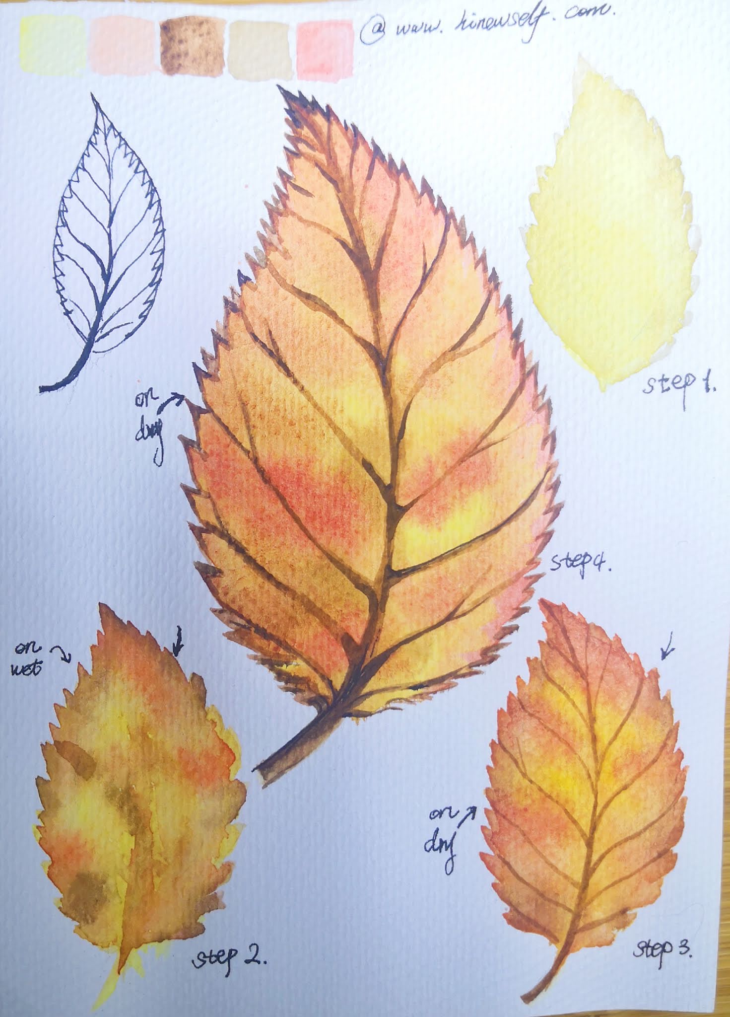 2How to draw an autumn maple leaf step by step tutorial, come to see my online web class