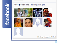 Facebook Widget For Website