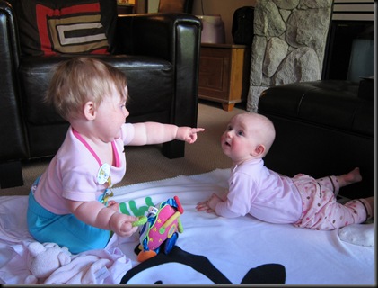 IMG_2368 IMG_2368