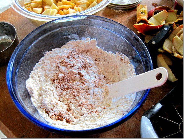Apple Cake 3