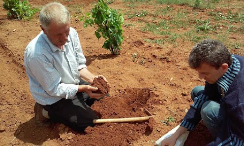 Bozkır Ziraat Odası Alanda İncelemelere Devam Ediyor