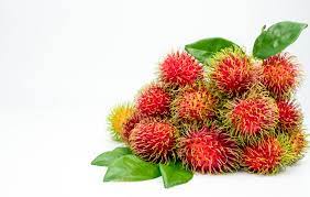 buah rambutan digunakan sebagai  obat