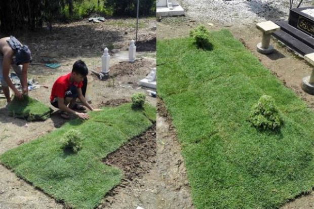 Tiga Beradik Hias Kubur Ayah Dengan Rumput Karpet