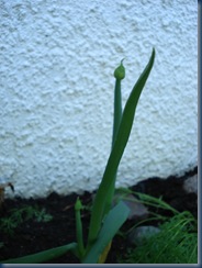 DSC00044
