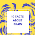 10 Facts About Brain