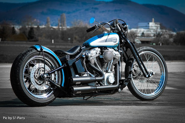 Harley Davidson By MB Cycles Hell Kustom