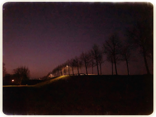 Bomen op viaduct, vroege ochtend