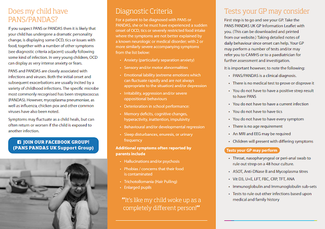 Leaflet with lots of words explaining PANS and pandas - the text can be found at website https://www.panspandasuk.org/