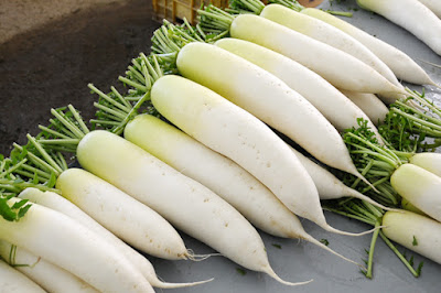Hạt giống Củ cải trắng chịu nhiệt